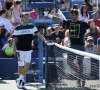 David Goffin voorbij Roger Federer op ATP-ranking