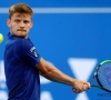 Goffin maakt het snel af tegen Karlovic: "Maar ik was klaar om een nieuwe Isner-Mahut te spelen"