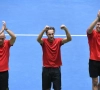 Belgische Davis Cup-selectie bekend: Johan Van Herck tovert (genoodzaakt) deze vier namen uit zijn hoed