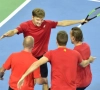 Goffin, Darcis, Coppejans, Vliegen en Gille verdedigen Belgische eer op Davis Cup