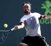 Italiaan Fabio Fognini na ongepast gedrag niet meer welkom in het dubbelspel van US Open