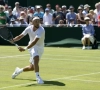 Bemelmans mag blijven hopen op Wimbledon