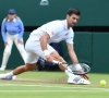 Naast damesfinale staat op Wimbledon ook vervolg van halve finale Nadal - Djokovic op menu