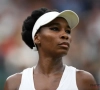 Venus Williams krijgt op haar 42e(!) wildcard voor de Australian Open