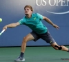 David Goffin fit genoeg voor halve finales Davis Cup tegen Australië