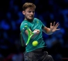 Goffin moet hopen op een sterke dag, een vlotte service en op foutjes van tegenstander Dimitrov