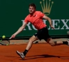 Speelde gebrek aan energie David Goffin parten? "Ik kon er niet opnieuw overheen gaan"