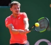 Slecht nieuws voor David Goffin: Belgische nummer één moet de strijd staken tegen Roger Federer