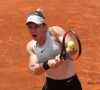 Kunnen Muguruza of Halep straks favorietenrol waarmaken in Roland Garros-finale?