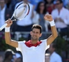 Novak Djokovic plaatst zich voor halve finales US Open