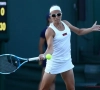 Dubbelpartner mept Flipkens genadeloos van het court