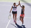 Elise Mertens en Kirsten Flipkens plaatsen zich