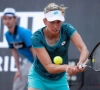 Elise Mertens herstelt niet na twee gemiste setballen en stuit op vijfde reekshoofd in kwartfinales  Luxemburg