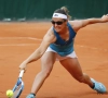 Comeback in supertiebreak tevergeefs voor Flipkens en dubbelpartner tegen Bencic en Golubic