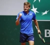 Goffin na klinkende overwinning als groepswinnaar naar kwartfinales Madrid Open Virtual Pro