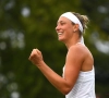 Een topdag voor de Belgen in het tennis: onder meer Wickmayer en Minnen stoten vlot door