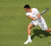 Bernard Tomic moet zijn prijzengeld van Wimbledon inleveren na 'onprofessionele houding'