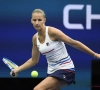 Karolina Pliskova treft Kroatische Martic in finale Peking