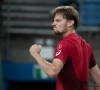 David Goffin leidt de Belgische selectie voor de Davis Cup