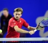 Vijf Belgen plaatsen zich rechtstreeks voor de hoofdtabel op de Australian Open, Goffin enige man