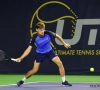 Overwinning tegen Paire schenkt Goffin plek bij laatste vier op UTS