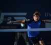 David Goffin zit bij de laatste vier op het tennistoernooi van Montpellier 