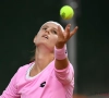 Tennisweekend zit erop: Minnen wint (met Wickmayer) en verliest finale, Benoît pakt titel, verlies Coppejans en Flipkens