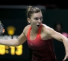 Halep vloert Karolina Pliskova in Fed Cup-onderonsje