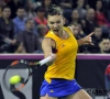 Simona Halep brengt Roemenië langszij tegen Tsjechië