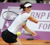 Tsvetana Pironkova wil comeback maken op de WTA Tour