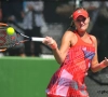 Mladenovic steekt titel op zak in Sint-Petersburg na felbevochten finale