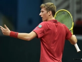 Ook zonder Goffin, Darcis en Bemelmans lukt het zelfs: "Fantastisch dat ik het team de kwalificatie kan bezorgen"