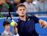 Goffin zwoegt zich voorbij Haase in Rotterdam en treft in de kwartfinale... Dimitrov