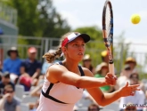 Elise Mertens maakt het ex-nummer één knap lastig, maar moet toch het hoofd buigen na drie sets