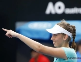 Het prachtige parcours van Elise Mertens op de Australian Open