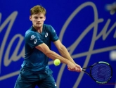 Waarom de rol van underdog David Goffin een pak beter lijkt te liggen