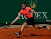 ? David Goffin stoot door, maar maakt het zichzelf nog knap lastig