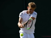 David Goffin en Elise Mertens krijgen zware (Canadese) lotingen op de Rogers Cup