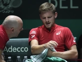 België moet het in de Davis Cup zonder Goffin doen tegen Hongarije