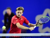 Goffin herstart met dubbelwinst