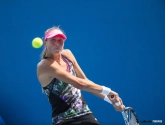 Wickmayer zet scheve situatie vlot recht op Indian Wells Challenger