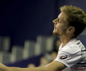 Nieuwe jaar start in mineur voor Goffin: exit in tweede ronde in Qatarese Doha