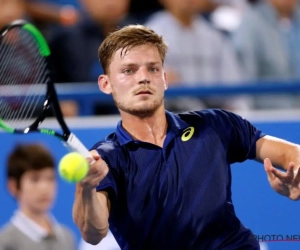 David Goffin tankt vertrouwen in Melbourne: "Ik voel me goed"