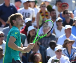 David Goffin met de nodige moeite naar tweede ronde, voor Darcis zit de US Open erop