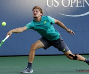 David Goffin heeft goed nieuws voor Davis Cup-kapitein Johan Van Herck