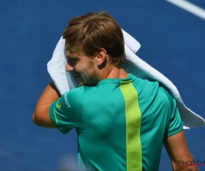 Moeilijke periode én een mirakel voor Goffin: "Sinds Roland Garros nooit meer aan honderd procent van mijn mogelijkheden gespeeld"