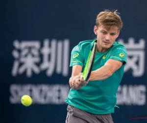 David Goffin en Elise Mertens doen voor het eerst sinds 2011 voor ons land een gooi naar het officieuze WK