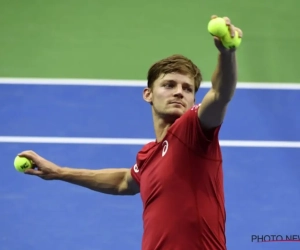 Belgen krijgen goed nieuws na zege tegen Hongarije in de Davis Cup