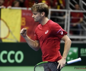 Sterk werk: David Goffin loodst België naar kwartfinales Davis Cup