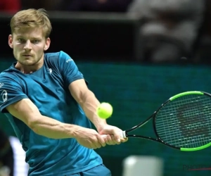 Eindelijk nog eens uitstekend nieuws voor David Goffin 